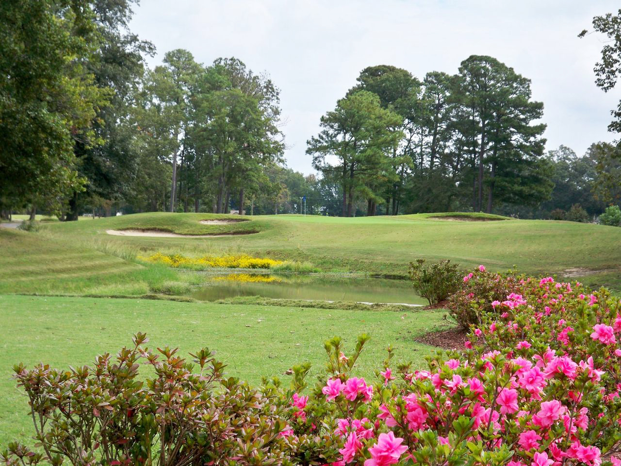 Hole by Hole Layout Sleepy Hole Golf Course